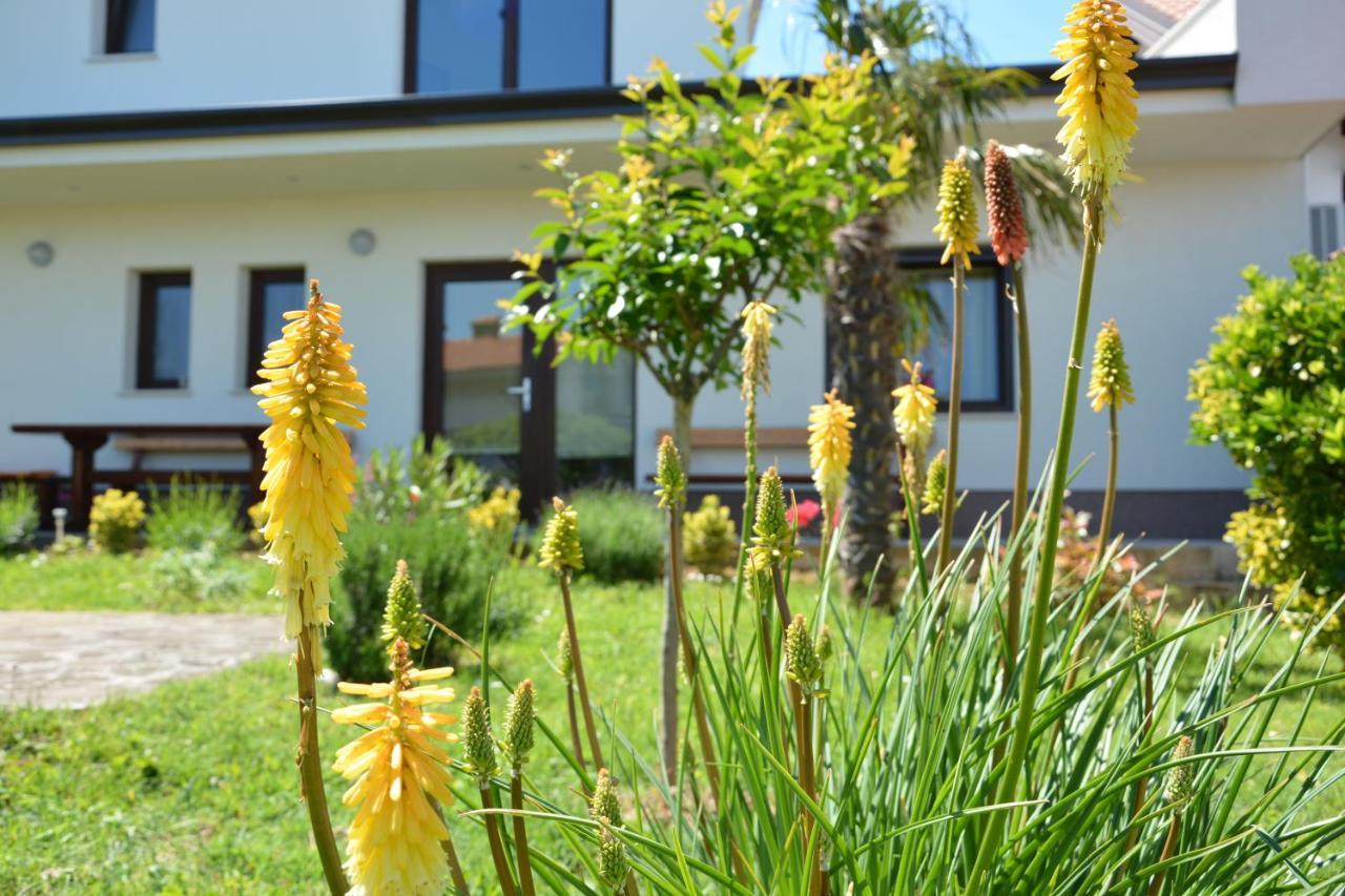 Vila Palma - App Palma & Room Figa Ankaran Exterior foto